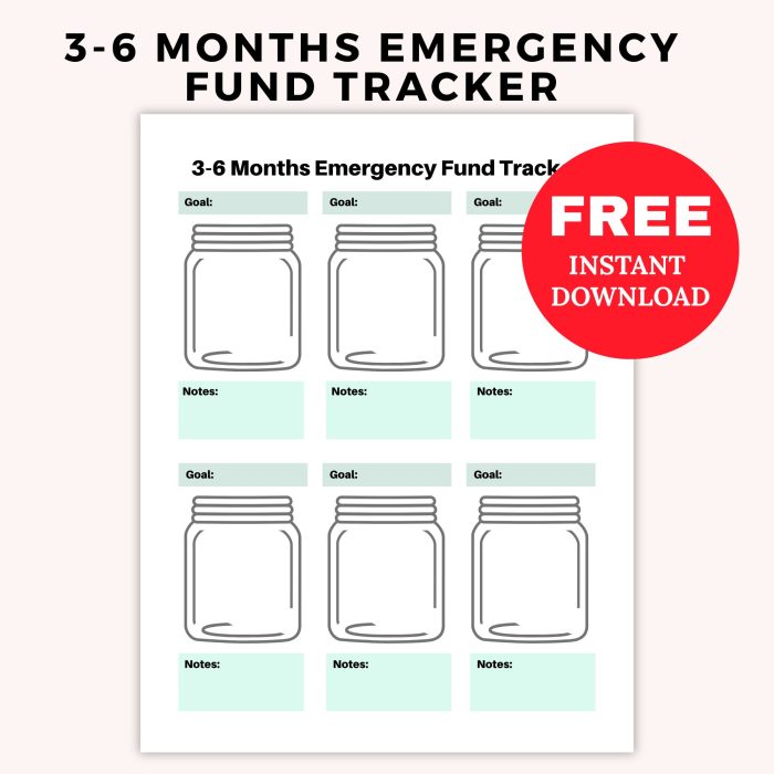 3-6 Months Emergency Fund Tracker